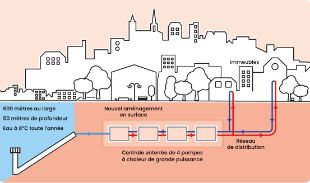 © Do! Agency